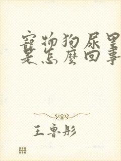 宠物狗尿里带血是怎么回事