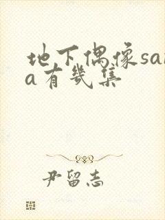 地下偶像sana有几集