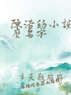 陈浩的小说叫什么名字