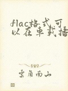 flac格式可以在车载播放器播放吗