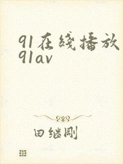 91在线播放一91av