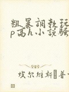 粗暴调教玩弄np高h小说骚受