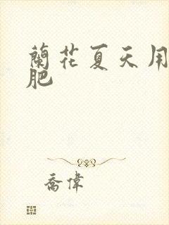 兰花夏天用什么肥