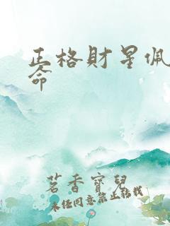 正格财星佩印男命