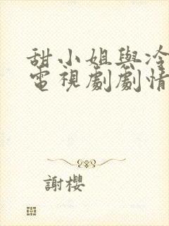 甜小姐与冷先生电视剧剧情