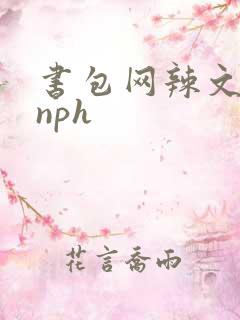 书包网辣文古代nph