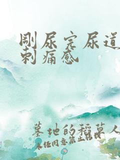 刚尿完尿道口有刺痛感
