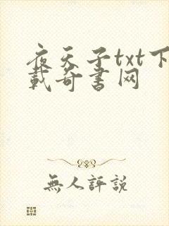夜天子txt下载奇书网