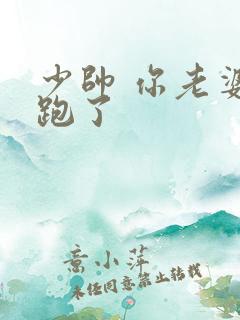 少帅 你老婆又跑了