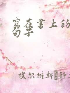 写在书上的追星句子