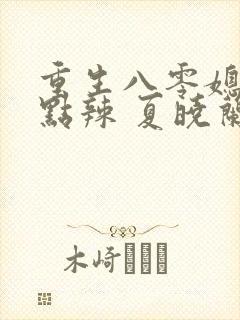 重生八零媳妇有点辣 夏晓兰