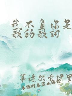 我不负你是哪首歌的歌词