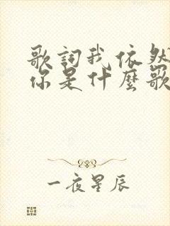 歌词我依然爱着你是什么歌