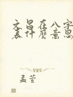 文昌在八字中代表什么意思呢女命