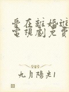 爱在离婚进行时电视剧免费观看完整版