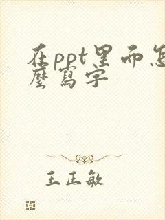 在ppt里面怎么写字