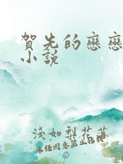 贺先的恋恋不忘小说