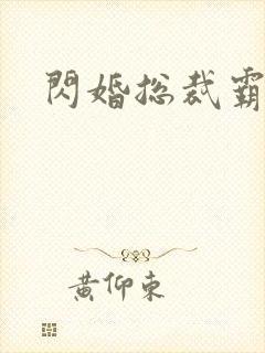 闪婚总裁霸道宠