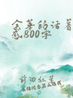 余华的活着读后感800字