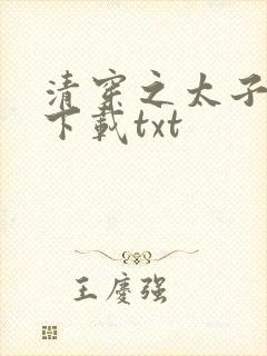 清穿之太子娇妃下载txt