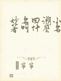 妙名回溯小说原著叫什么名字