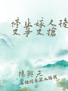 停止嫁人后太子又争又抢