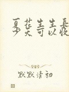 夏花生生长期多少天可以收获