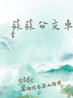 苏苏公交车txt