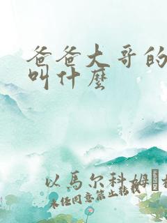 爸爸大哥的儿子叫什么