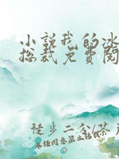 小说我的冰山女总裁免费阅读