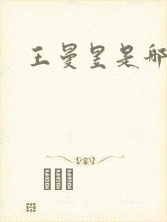王曼昱是哪里人