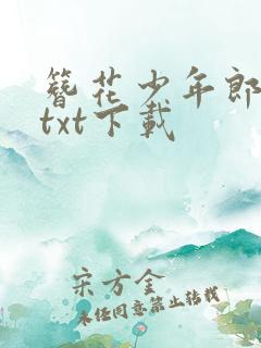 簪花少年郎小说txt下载