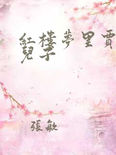 红楼梦里贾珍的儿子