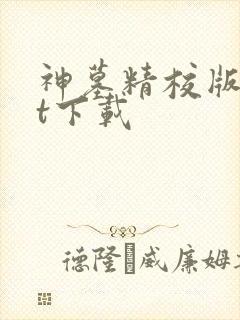 神墓精校版txt下载