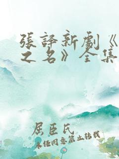 张译新剧《以法之名》全集免费观看