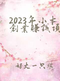 2023年小本创业赚钱项目排行