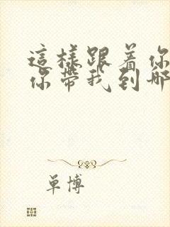 这样跟着你随便你带我到哪里歌词