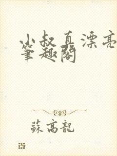 小叔真漂亮by笔趣阁