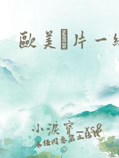 欧美α片一级