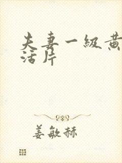 夫妻一级黄色生活片