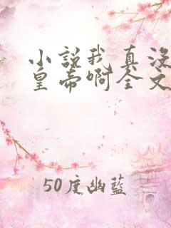 小说我真没想当皇帝啊全文阅读