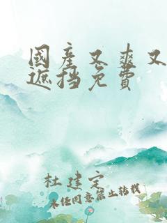 国产又爽又黄无遮挡免费