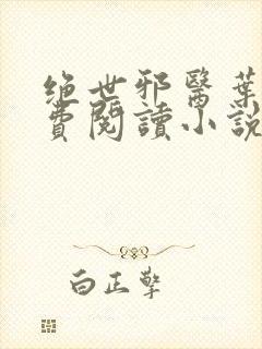 绝世邪医叶凡免费阅读小说