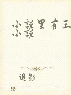 小说里有王军的小说