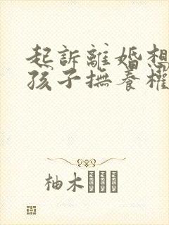 起诉离婚想争取孩子抚养权