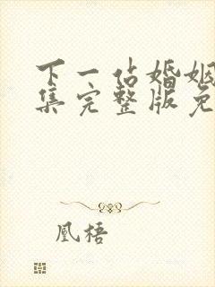 下一站婚姻34集完整版免费