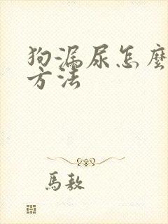 狗漏尿怎么解决方法