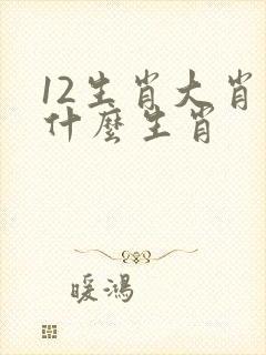 12生肖大肖是什么生肖