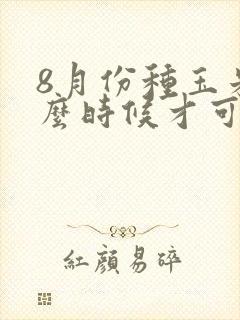 8月份种玉米什么时候才可以吃