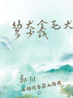 幼犬金毛犬价格多少钱